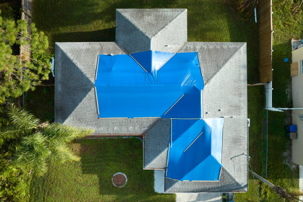 Best Sheet Metal Roofing  in Caro, MI