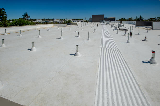 Best Commercial Roofing Services  in Caro, MI